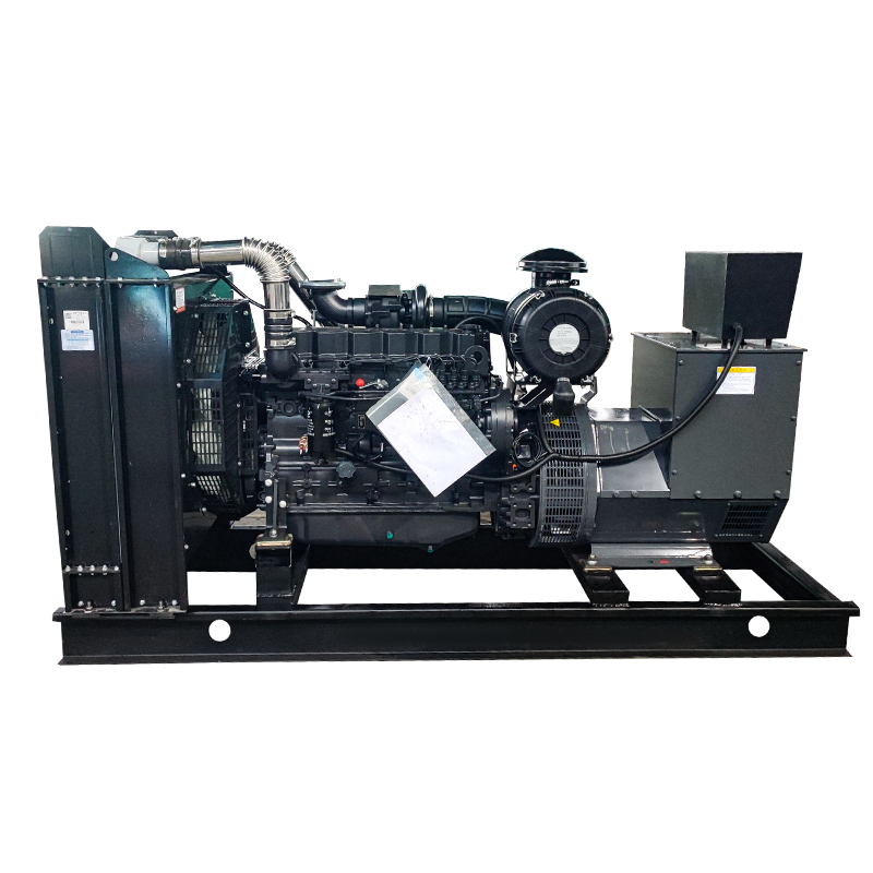 Shanghai Diesel Engine Generator Set
